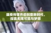 趣夜传媒开启创意新时代，探索无限可能与梦想