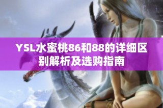 YSL水蜜桃86和88的详细区别解析及选购指南