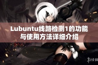 Lubuntu线路检测1的功能与使用方法详细介绍