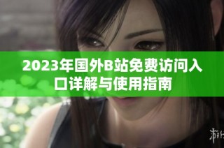 2023年国外B站免费访问入口详解与使用指南