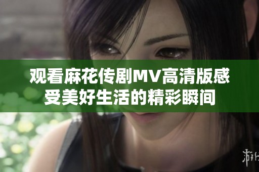 观看麻花传剧MV高清版感受美好生活的精彩瞬间