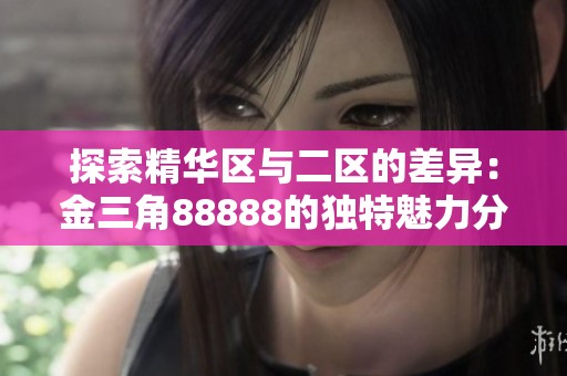探索精华区与二区的差异：金三角88888的独特魅力分析