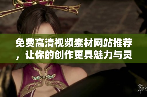 免费高清视频素材网站推荐，让你的创作更具魅力与灵感