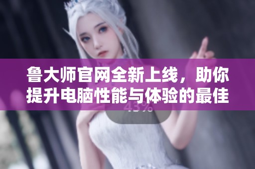 鲁大师官网全新上线，助你提升电脑性能与体验的最佳选择