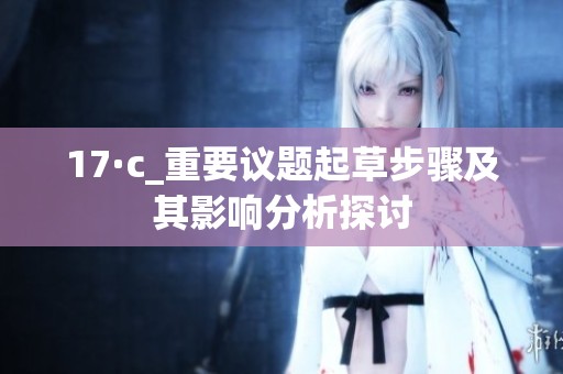 17·c_重要议题起草步骤及其影响分析探讨