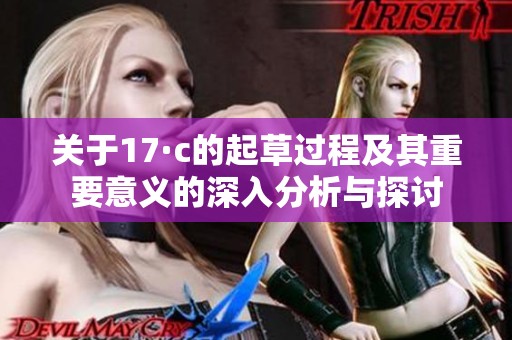 关于17·c的起草过程及其重要意义的深入分析与探讨