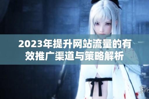 2023年提升网站流量的有效推广渠道与策略解析