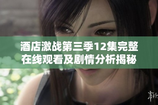 酒店激战第三季12集完整在线观看及剧情分析揭秘