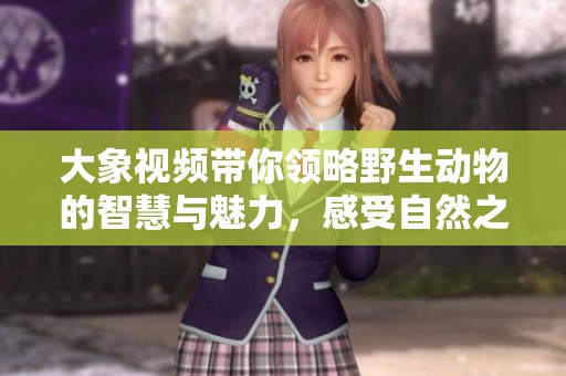 大象视频带你领略野生动物的智慧与魅力，感受自然之美