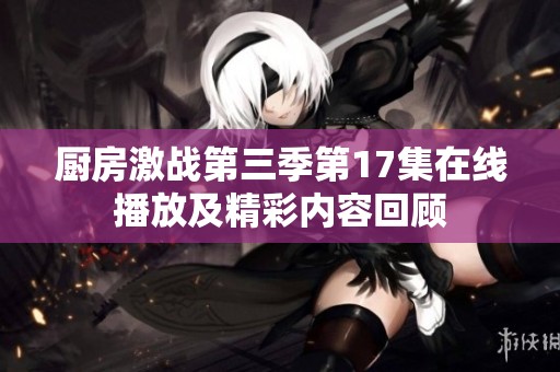 厨房激战第三季第17集在线播放及精彩内容回顾