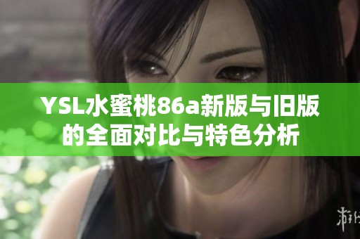 YSL水蜜桃86a新版与旧版的全面对比与特色分析