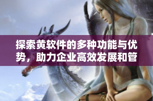 探索黄软件的多种功能与优势，助力企业高效发展和管理优化