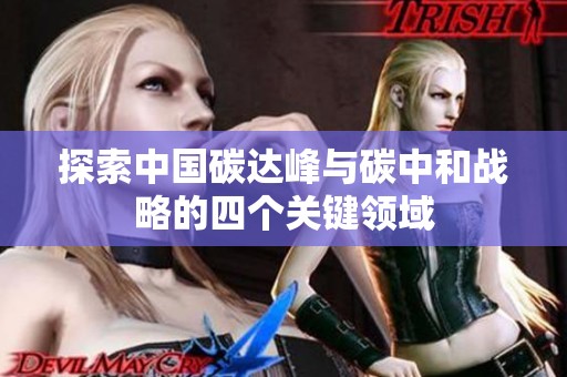 探索中国碳达峰与碳中和战略的四个关键领域