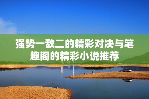 强势一敌二的精彩对决与笔趣阁的精彩小说推荐