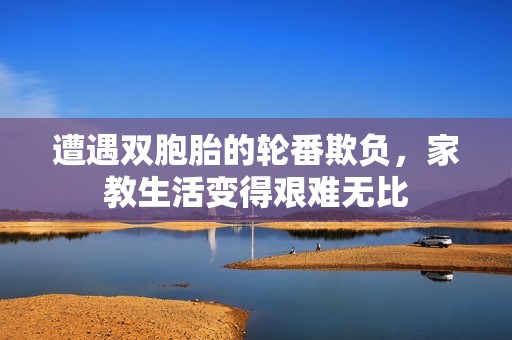 遭遇双胞胎的轮番欺负，家教生活变得艰难无比