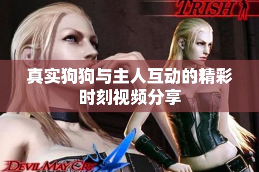 真实狗狗与主人互动的精彩时刻视频分享