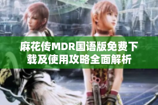 麻花传MDR国语版免费下载及使用攻略全面解析