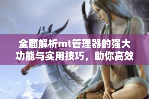 全面解析mt管理器的强大功能与实用技巧，助你高效管理文件