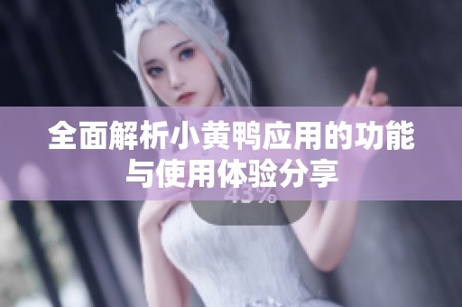 全面解析小黄鸭应用的功能与使用体验分享
