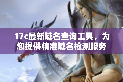 17c最新域名查询工具，为您提供精准域名检测服务