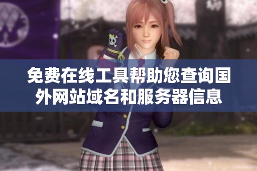 免费在线工具帮助您查询国外网站域名和服务器信息