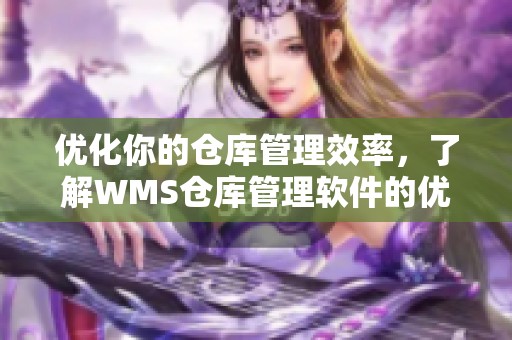 优化你的仓库管理效率，了解WMS仓库管理软件的优势与应用