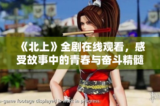 《北上》全剧在线观看，感受故事中的青春与奋斗精髓