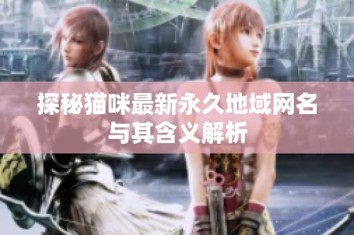 探秘猫咪最新永久地域网名与其含义解析
