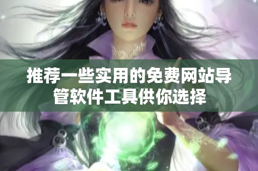 推荐一些实用的免费网站导管软件工具供你选择