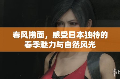 春风拂面，感受日本独特的春季魅力与自然风光