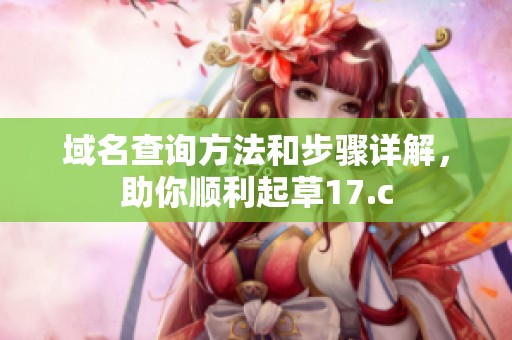 域名查询方法和步骤详解，助你顺利起草17.c