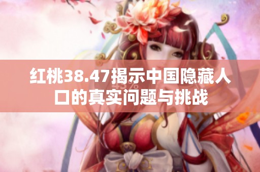 红桃38.47揭示中国隐藏人口的真实问题与挑战