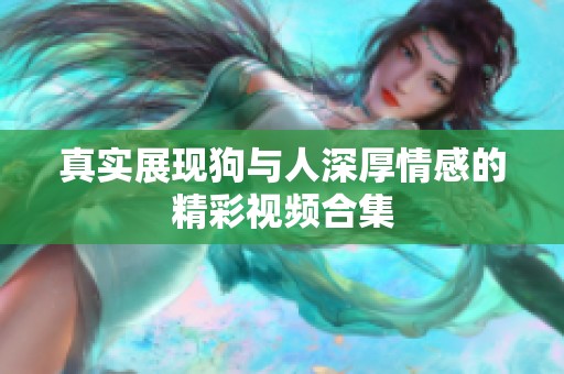 真实展现狗与人深厚情感的精彩视频合集
