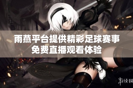 雨燕平台提供精彩足球赛事免费直播观看体验