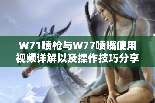 W71喷枪与W77喷嘴使用视频详解以及操作技巧分享