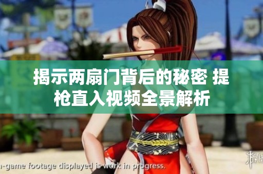 揭示两扇门背后的秘密 提枪直入视频全景解析