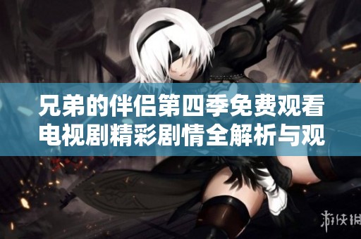 兄弟的伴侣第四季免费观看电视剧精彩剧情全解析与观后感
