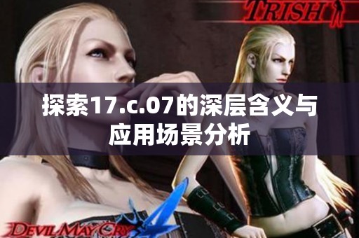 探索17.c.07的深层含义与应用场景分析