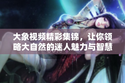 大象视频精彩集锦，让你领略大自然的迷人魅力与智慧生活