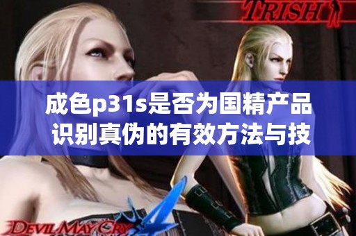 成色p31s是否为国精产品 识别真伪的有效方法与技巧
