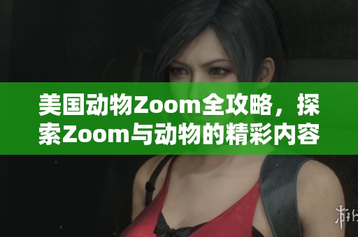 美国动物Zoom全攻略，探索Zoom与动物的精彩内容