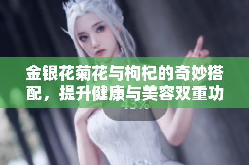 金银花菊花与枸杞的奇妙搭配，提升健康与美容双重功效