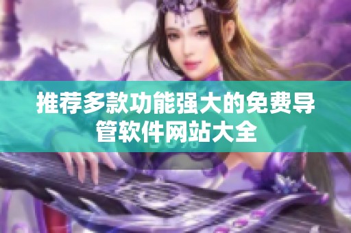 推荐多款功能强大的免费导管软件网站大全