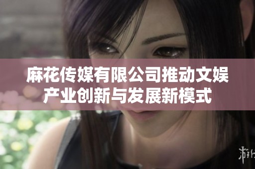 麻花传媒有限公司推动文娱产业创新与发展新模式