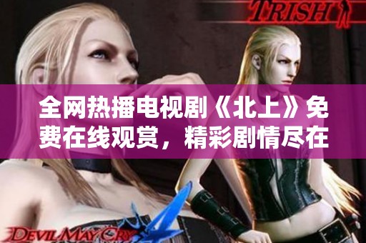 全网热播电视剧《北上》免费在线观赏，精彩剧情尽在掌握之中