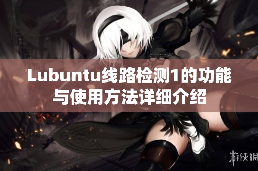 Lubuntu线路检测1的功能与使用方法详细介绍