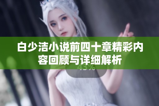 白少洁小说前四十章精彩内容回顾与详细解析