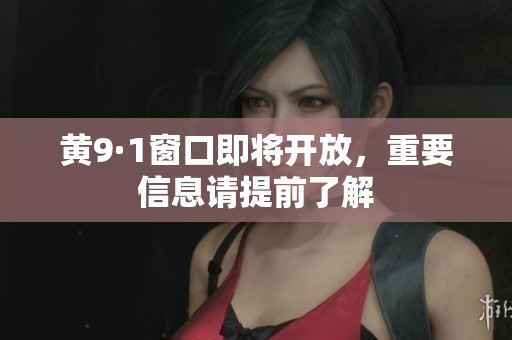 黄9·1窗口即将开放，重要信息请提前了解