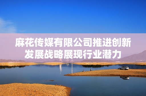 麻花传媒有限公司推进创新发展战略展现行业潜力
