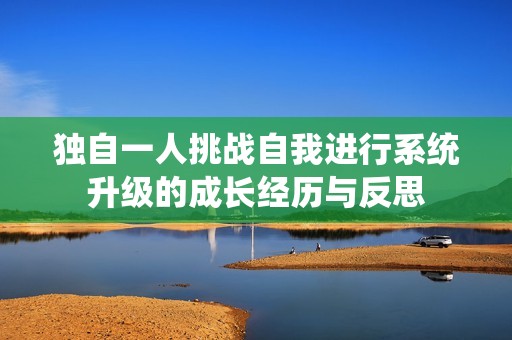 独自一人挑战自我进行系统升级的成长经历与反思